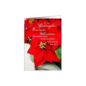  GodDaughter, Christmas Poinsettia Card Health & Personal 