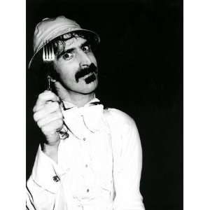  Frank Zappa by Richard E. Aaron, 16x21