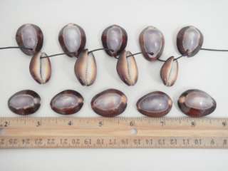 DRILLED PURPLE TOP COWRIE COWRY SEA SHELL BEAD CRAFT 100 PCS #7498 