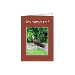 Missing You   Vulture Card