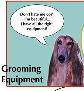 Grooming Supplies, Pet Care items in Dog Grooming Tools 