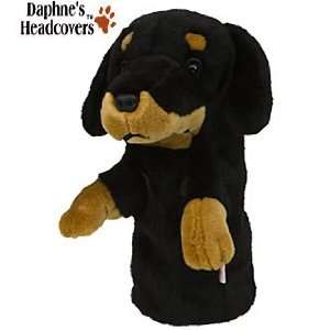  Daphnes woods headcover dachshund oversize Sports 