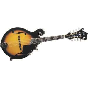    Washburn M3sw F Style Mandolin W/Case Sunburst Musical Instruments