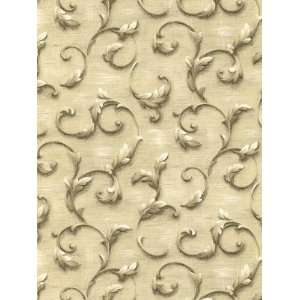    Wallpaper Patton Wallcovering Arabella II AR27049