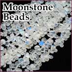 10mm White Coins MOP Shell Mother Of Pearls Beads 15.5  