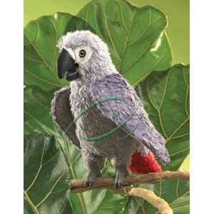  Parrot, African Grey Hand Puppets