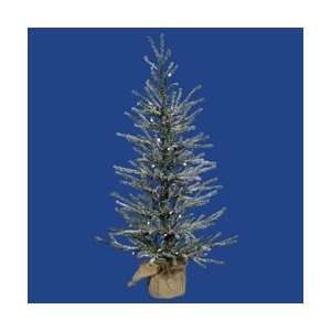  24 x 14 Frosted Angel Pine 20CL 239T Arts, Crafts 