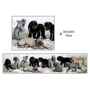  Bouvier des Flandres Watercolor Print