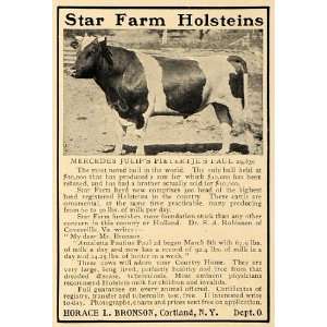   Ad Star Farm Holsteins Horace L. Bronson Cortland   Original Print Ad