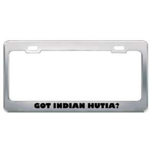 Got Indian Hutia? Animals Pets Metal License Plate Frame Holder Border 