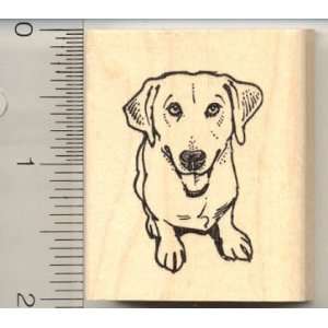  Labrador Retriever Mix Dog Rubber Stamp Arts, Crafts 