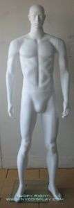 New 63H White Male Muscular Mannequin Torso Form S6W  