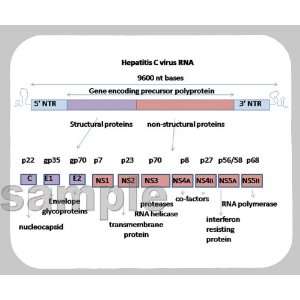  Hepatitis C RNA Mouse Pad 