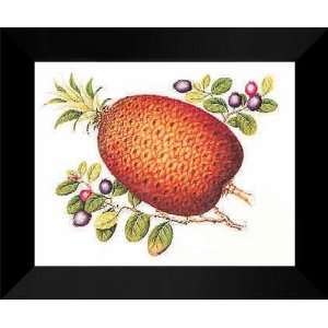 Liu Chi Wang FRAMED 15x18 Pineapple and Bilberries 