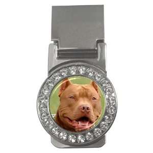  American Pit Bull Terrier Money Clip CZ W0014 Everything 