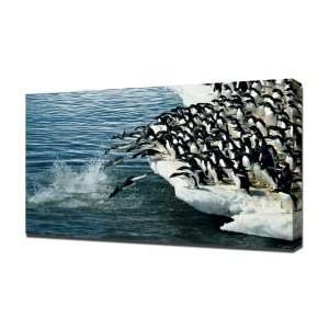 Penguins Antarctic   Canvas Art   Framed Size 16x24   Ready To Hang