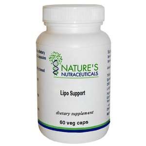  Lipo Support