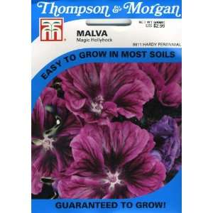  Thompson & Morgan 8611 Malva sylvestris Mauritiana Seed 