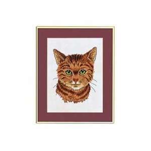  Red Tabby Cat Counted Cross Stitch Kit Arts, Crafts 