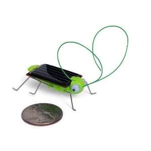  new design solar toy solar locust solar grasshopper 