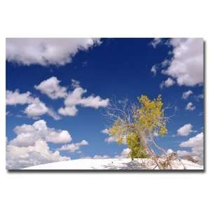 Trademark ART Philippe Sainte Laudy Clouds and Loneliness Canvas Art 