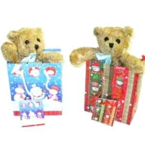 Christmas Holiday Bear in Bag Promotion Case Pack 96