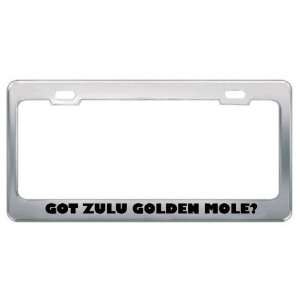 Got Zulu Golden Mole? Animals Pets Metal License Plate Frame Holder 