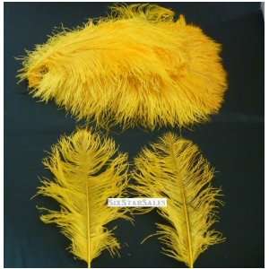 Ostrich~Yellow Gold 20 Ostrich Feather 13 16 to Decorate Eiffel Tower 