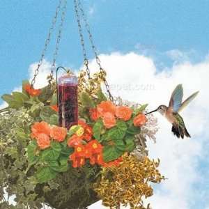  Perky Pet Hummingbird Feeder for planter
