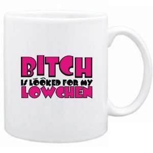 New  Blowchentch Is Looked For My Lowchen  Mug Dog 