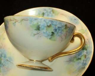 Antique Bohemian HP FORGET ME NOT TEA CUP AND SAUCER  