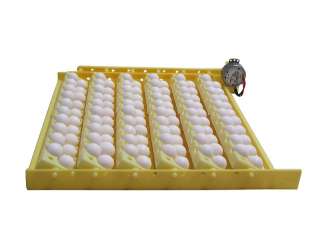 Quail Egg Racks (6) for HovaBator Automatic Egg Turners  
