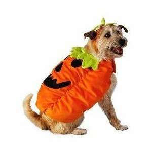  Pumpkindog Costume Size Large