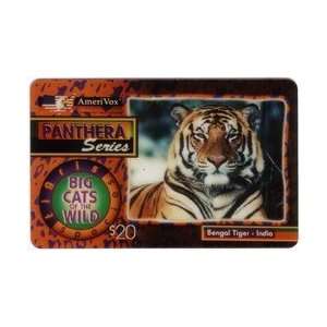   Tiger   India (Panthera Series Big Cats of The Wild) 