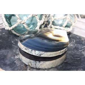  Seashell Keepsake Box Medium   Gold & Black   Coastal Decor 