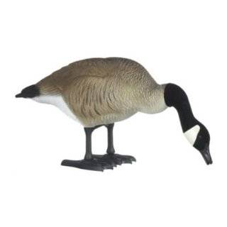  Real Geese Magnum Lite 3D Silhouette Canada Goose Decoys 