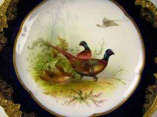   George Jones Hand Painted English Porcelain Bird Plate Birbeck  