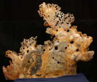   CARVED CORAL REEF FISHES CRABS CORAL SHRIMP CLAMS FISH TRAP  