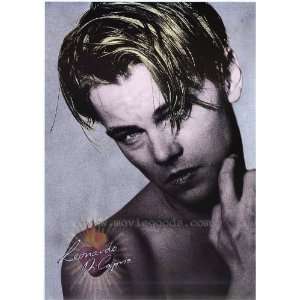Leonardo DiCaprio Movie Poster (27 x 40 Inches   69cm x 102cm) (9999 