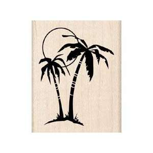  Palm Tree