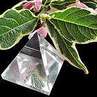 Crystal Gemstone Healing Orgone Pyramid Reiki Feng Shui