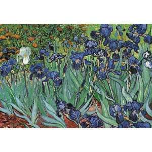  Vincent Van Gogh   Irises In The Garden Canvas