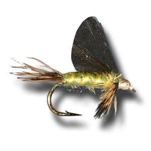  Burnt Wing Green Drake Fly Fishing Fly