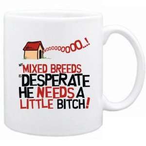  New  My Mixed Breeds Is Desperate   Mug Dog