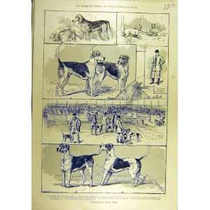    1889 Peterborough Hound Show Dogs Sport Print