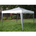   Polyester Top/Steel Frame Canopy Tent (10 x 10)  
