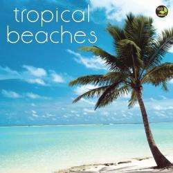 Tropical Beaches 2011 Calendar (Calendar)  