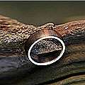 Sterling Silver Love Of Nature Mens Wood Ring (Brazil 