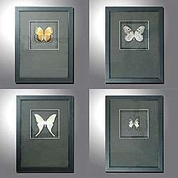 Butterfly Shadow Boxes (Set of 4)  