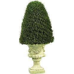 Cedar Cone Topiary Tree with Vase  